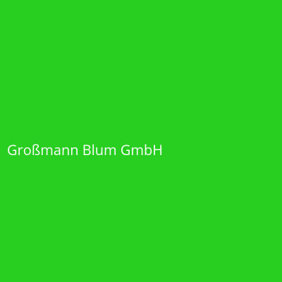 Großmann Blum GmbH